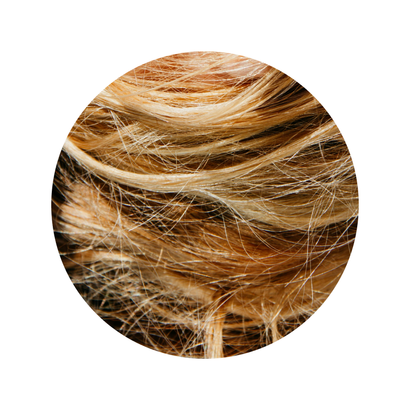 close up of blonde frizzy hair