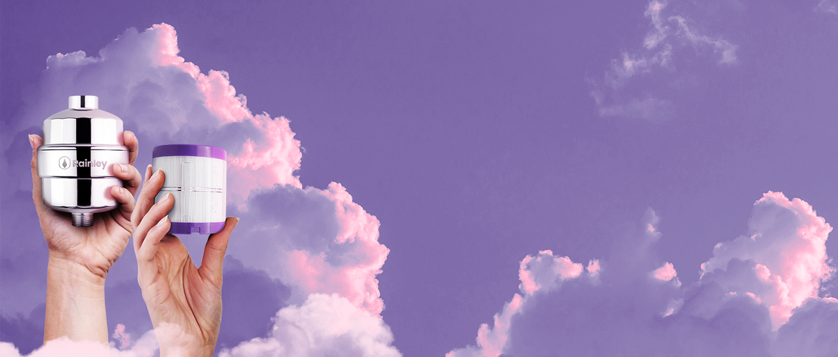 Hands holding a Rainley Bossa shower filter and a MicronFlo cartridge against a purple cloud sky